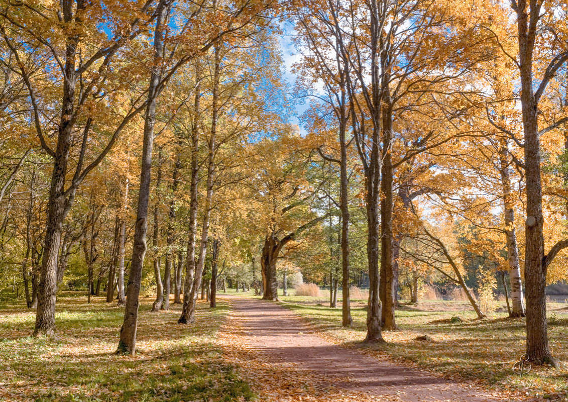 *** ����� Vitaly Konakov �� PhotoGeek.ru #������ ��� ������� #����� ��������