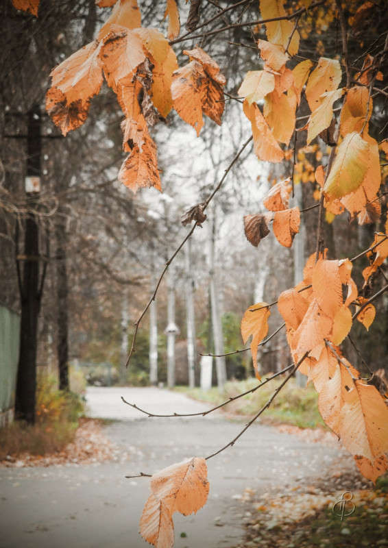 *** ����� Vitaly Konakov �� PhotoGeek.ru #������ ��� �������