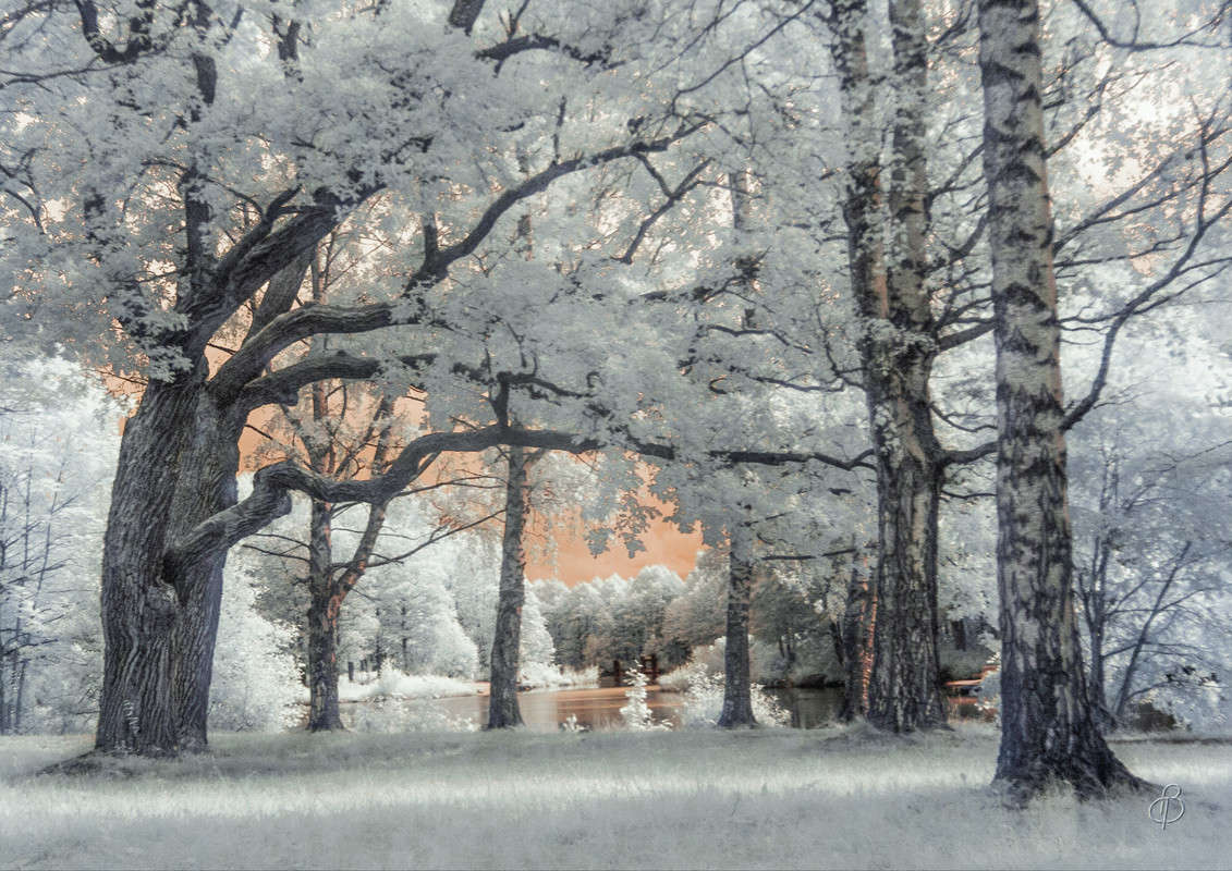 *** ����� Vitaly Konakov �� PhotoGeek.ru #������ ��� ������� #����� ��������