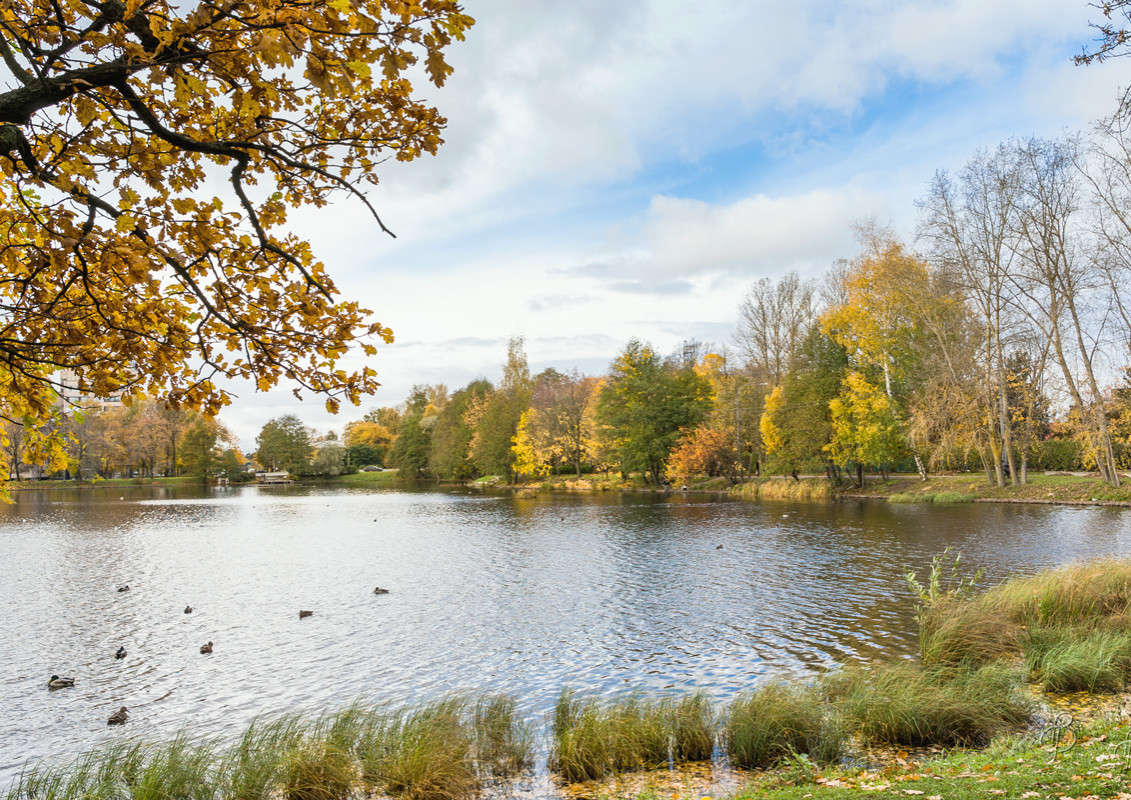 *** ����� Vitaly Konakov �� PhotoGeek.ru #������ ��� ������� #����� ��������