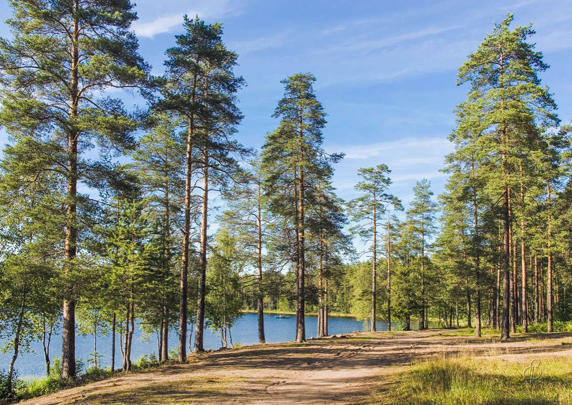 *** ����� Vitaly Konakov �� PhotoGeek.ru #������ ��� ������� #����� ��������