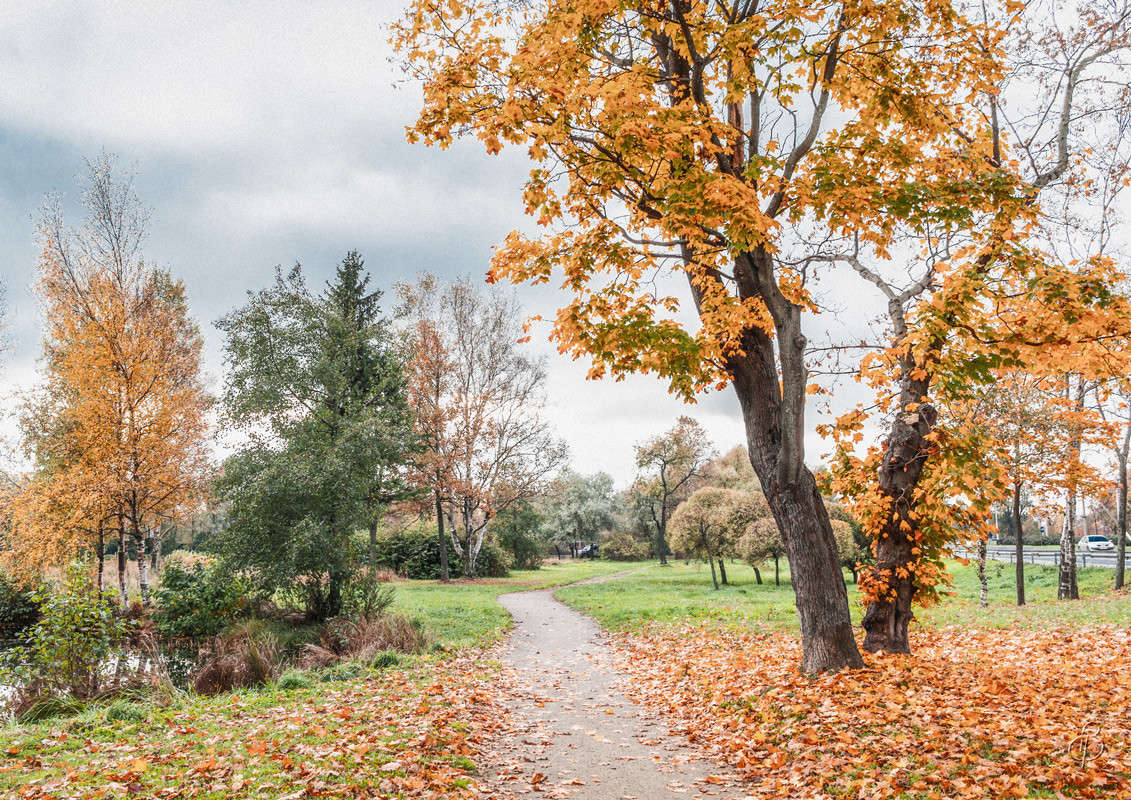 *** ����� Vitaly Konakov �� PhotoGeek.ru #������ ��� ������� #����� ��������