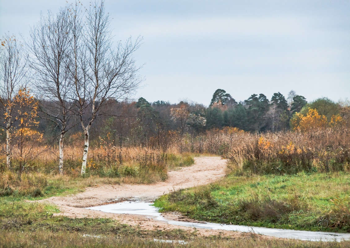 *** ����� Vitaly Konakov �� PhotoGeek.ru #������ ��� ������� #����� ��������