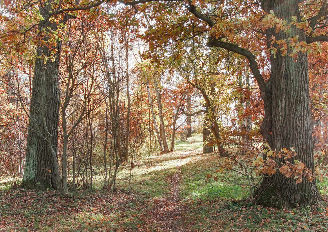 *** ����� Vitaly Konakov �� PhotoGeek.ru #������ ��� ������� #����� ��������