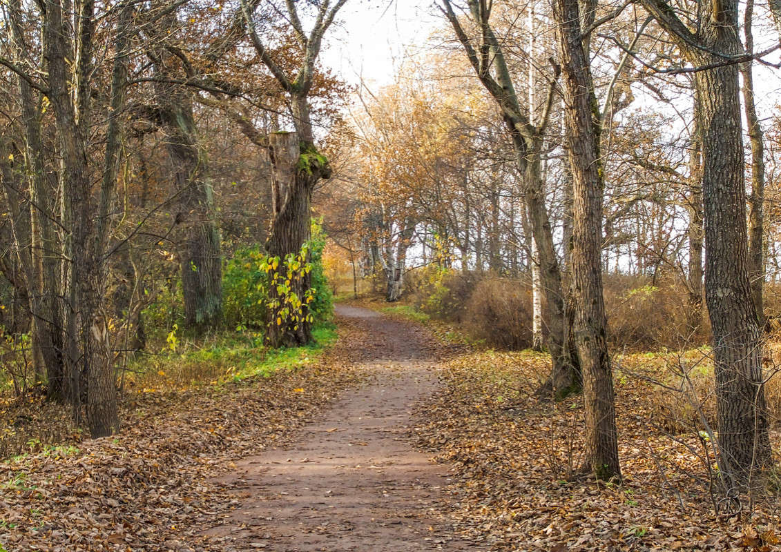 *** ����� Vitaly Konakov �� PhotoGeek.ru #������ ��� ������� #����� ��������