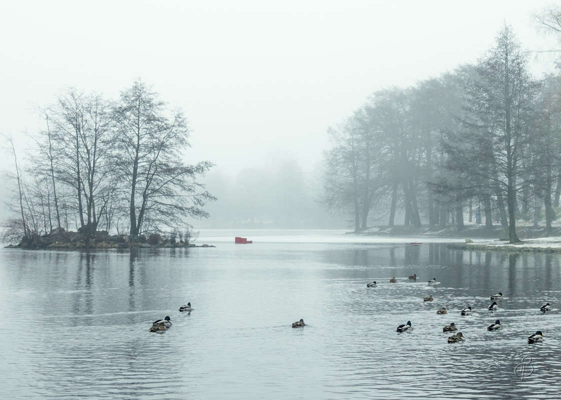 *** ����� Vitaly Konakov �� PhotoGeek.ru #������ ��� ������� #����� ��������