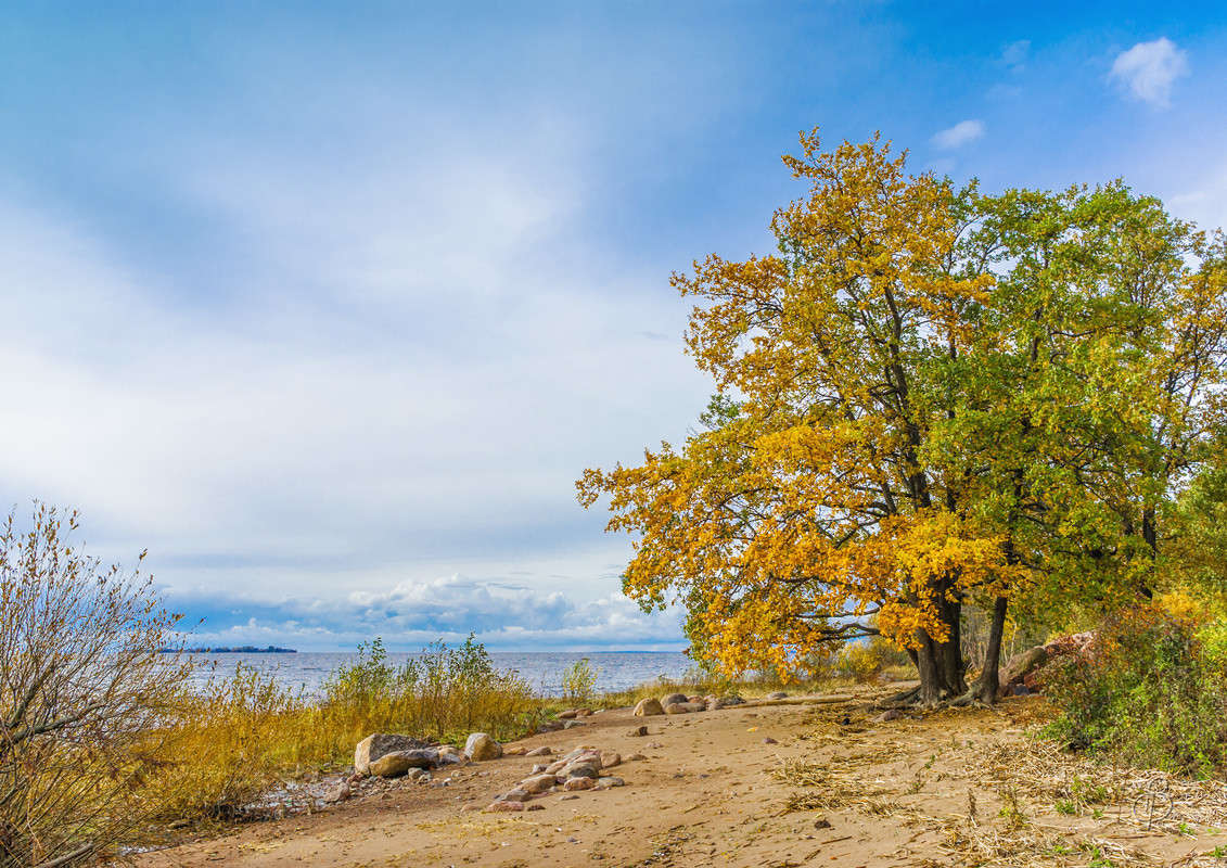 *** ����� Vitaly Konakov �� PhotoGeek.ru #������ ��� ������� #����� ��������