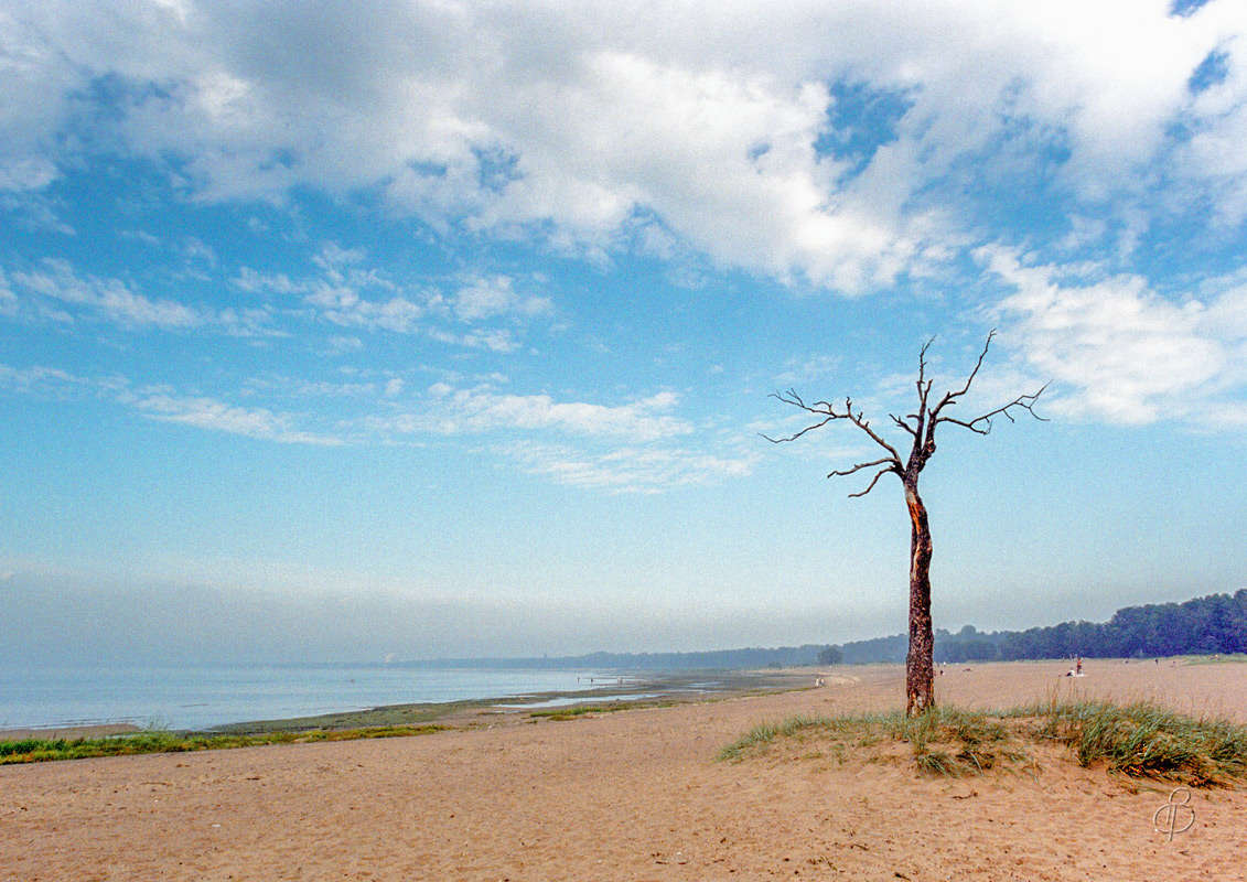 *** ����� Vitaly Konakov �� PhotoGeek.ru #������ ��� ������� #����� ��������