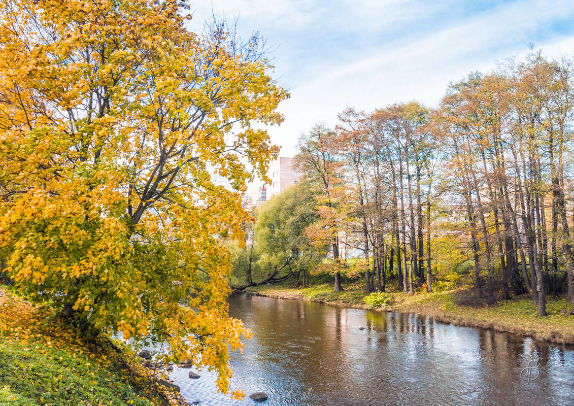 *** ����� Vitaly Konakov �� PhotoGeek.ru #������ ��� ������� #����� ��������