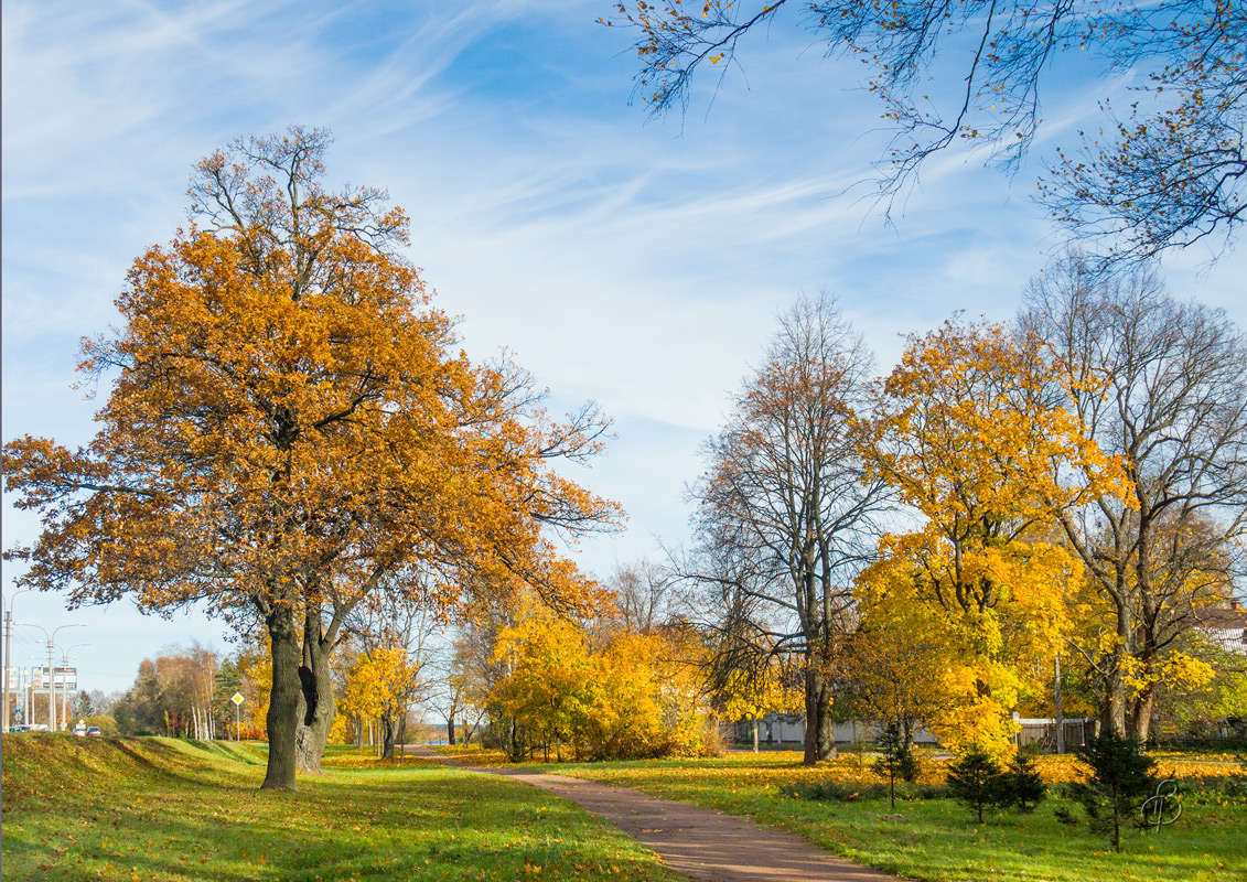 *** ����� Vitaly Konakov �� PhotoGeek.ru #������ ��� ������� #����� ��������