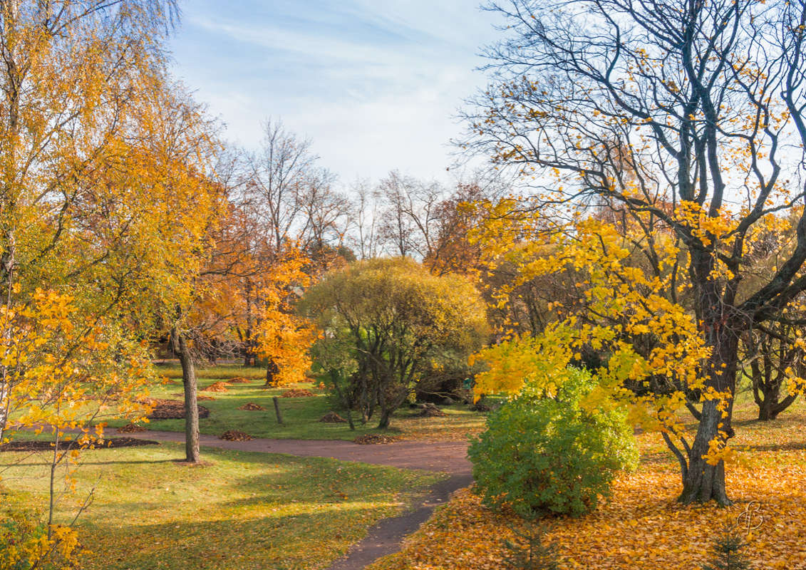 *** ����� Vitaly Konakov �� PhotoGeek.ru #������ ��� ������� #����� ��������