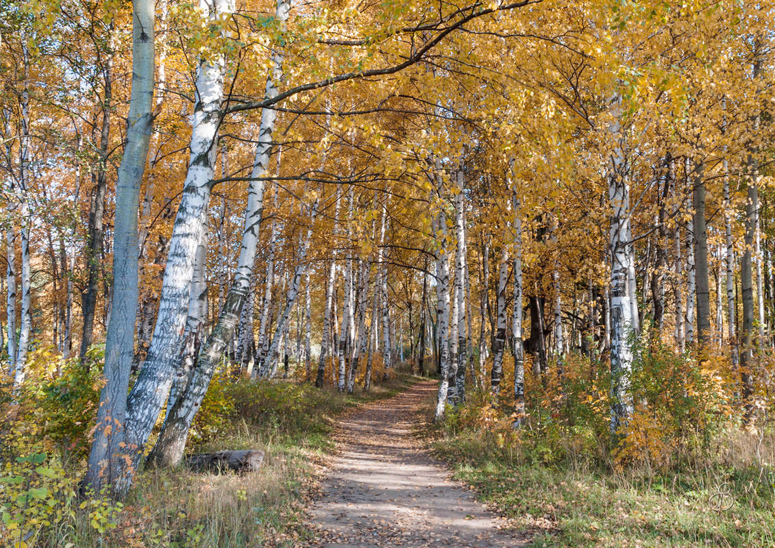 *** ����� Vitaly Konakov �� PhotoGeek.ru #������ ��� ������� #����� ��������