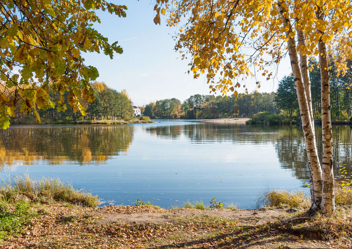 *** ����� Vitaly Konakov �� PhotoGeek.ru #������ ��� ������� #����� ��������