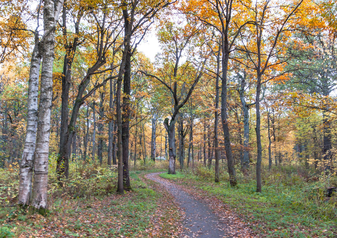*** ����� Vitaly Konakov �� PhotoGeek.ru #������ ��� ������� #����� ��������