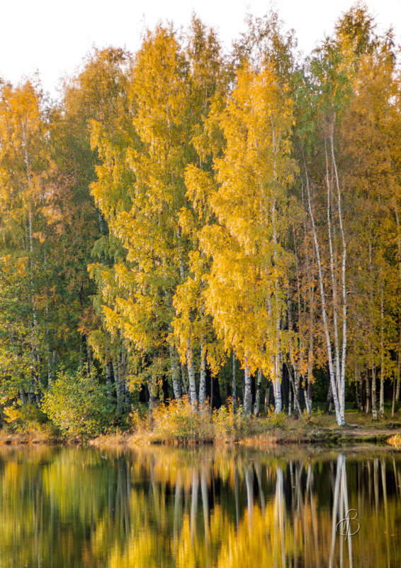 ����� � ������� ����� Vitaly Konakov �� PhotoGeek.ru #������ ��� ������� #����� ��������