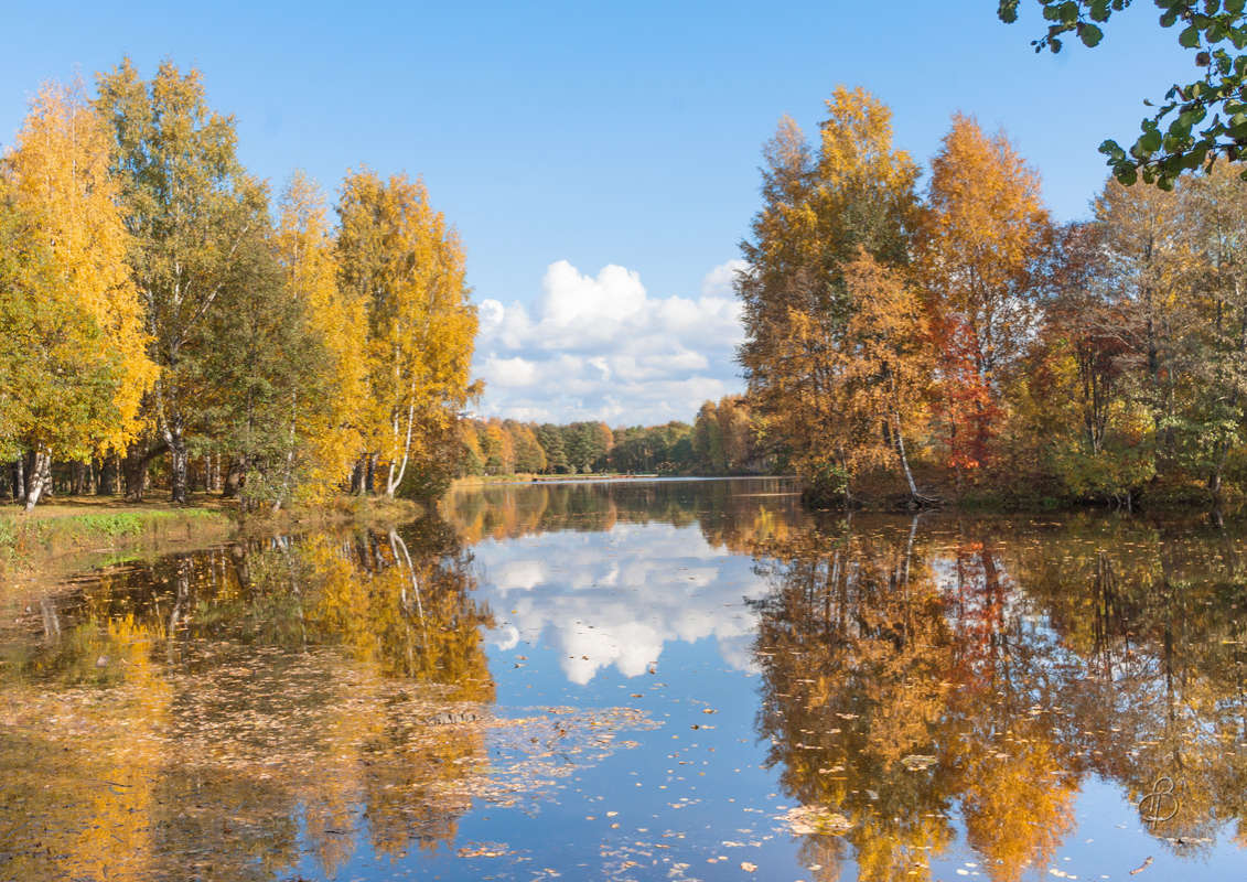 *** ����� Vitaly Konakov �� PhotoGeek.ru #������ ��� ������� #����� ��������