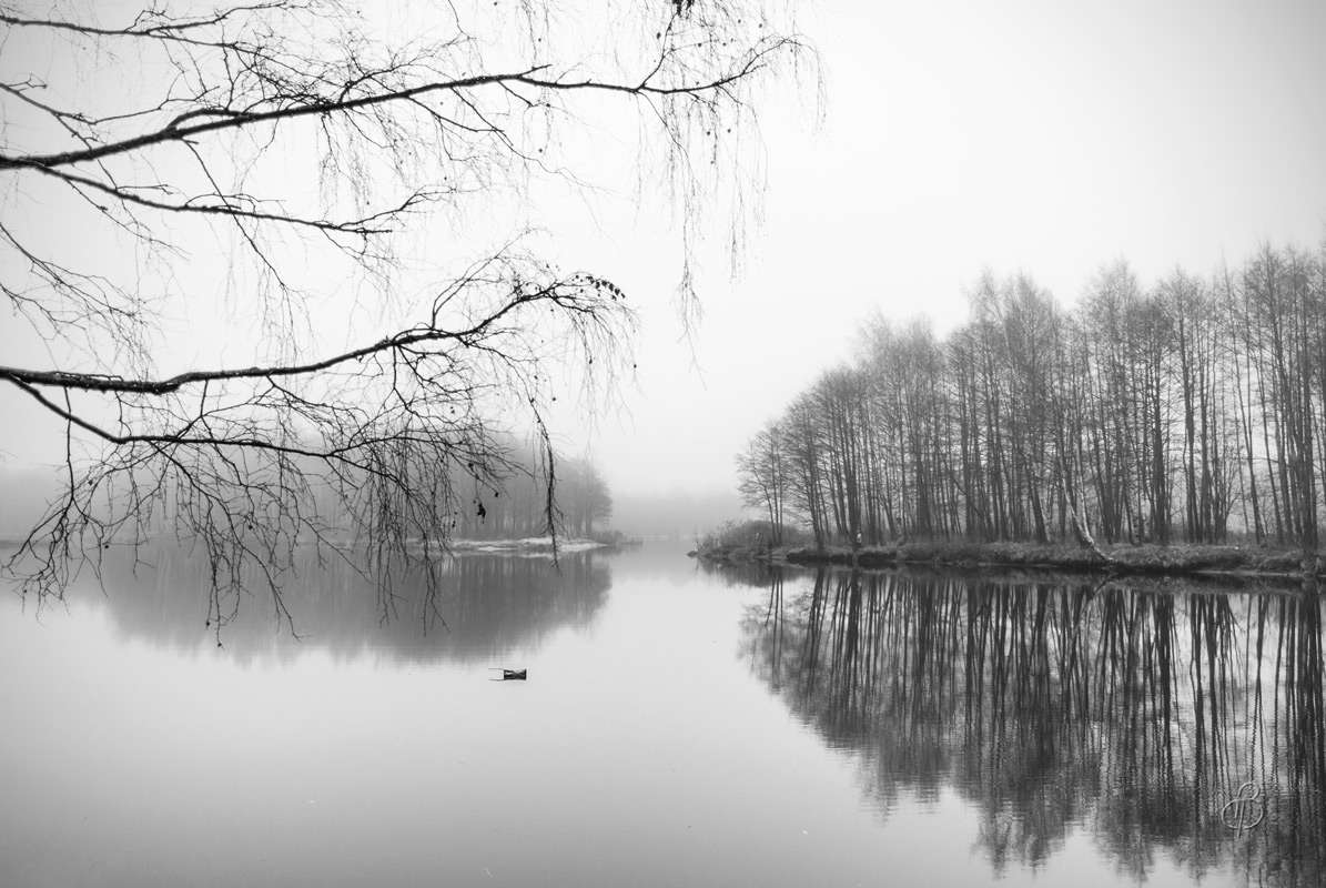 *** ����� Vitaly Konakov �� PhotoGeek.ru #������ ��� ������� #�����-�����