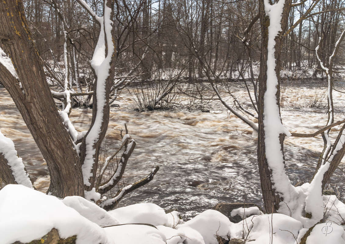*** ����� Vitaly Konakov �� PhotoGeek.ru #������ ��� ������� #����� ��������
