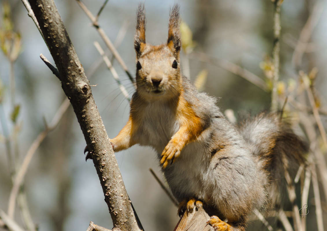 ��� ��? ����� Vitaly Konakov �� PhotoGeek.ru #�������� ��� #����� ��� ��� ���������