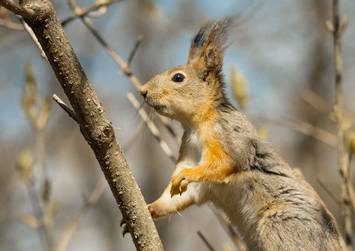 ��� �����? ����� Vitaly Konakov �� PhotoGeek.ru #�������� ��� #����� ��� ��� ���������
