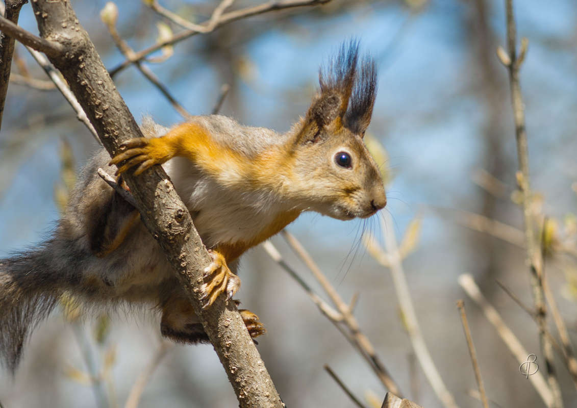 �� �������? ����� Vitaly Konakov �� PhotoGeek.ru #�������� ��� #����� ��� ��� ���������