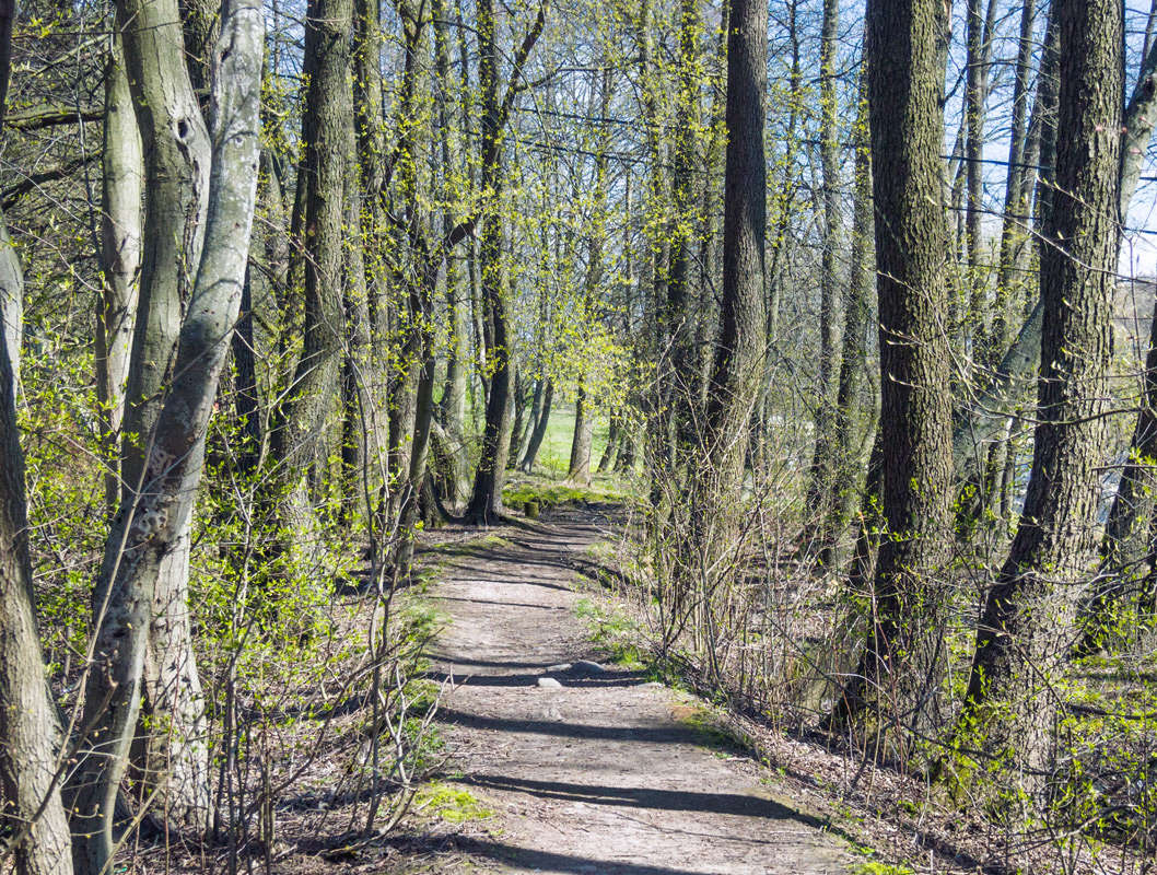 *** ����� Vitaly Konakov �� PhotoGeek.ru #������ ��� ������� #����� ��������