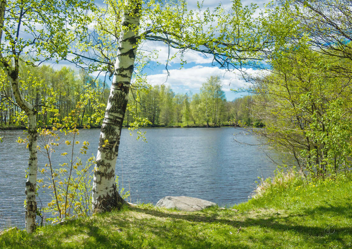 *** ����� Vitaly Konakov �� PhotoGeek.ru #������ ��� ������� #����� ��������