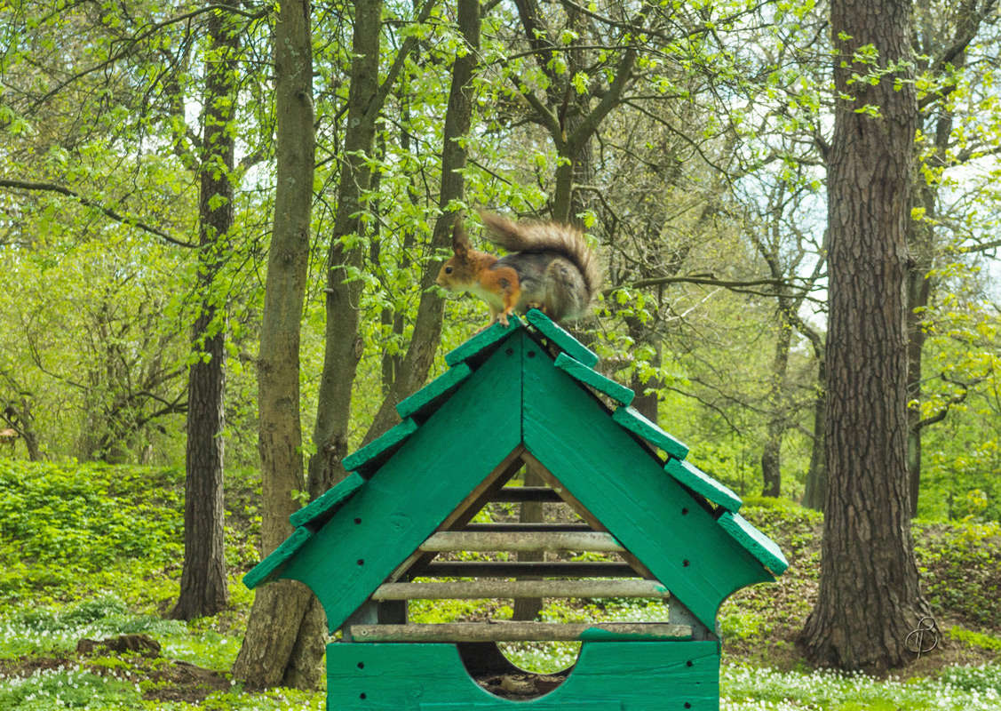 *** ����� Vitaly Konakov �� PhotoGeek.ru #�������� ��� #����� ��� ��� ���������