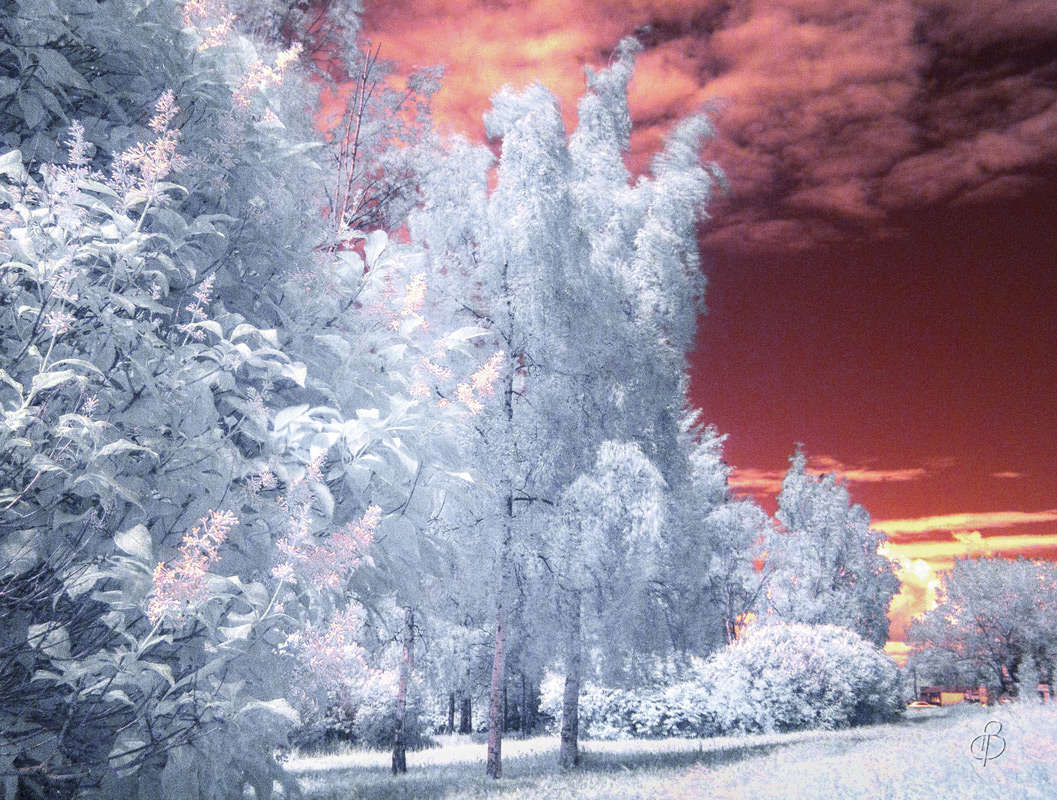 *** ����� Vitaly Konakov �� PhotoGeek.ru #������ ��� ������� #������