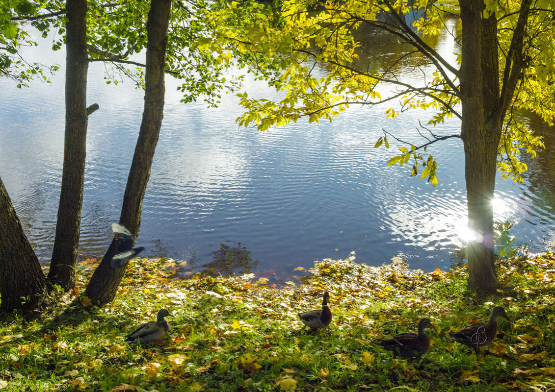 *** ����� Vitaly Konakov �� PhotoGeek.ru #������ ��� ������� #����� ��������