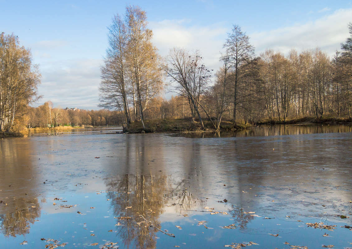 ��� � �����... ����� Vitaly Konakov �� PhotoGeek.ru #������ ��� ������� #����� ��������