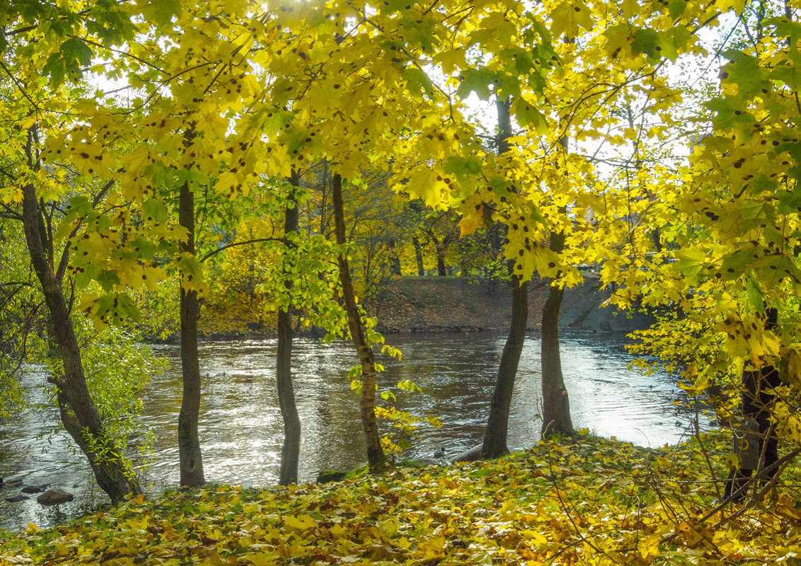 *** ����� Vitaly Konakov �� PhotoGeek.ru #������ ��� ������� #����� ��������