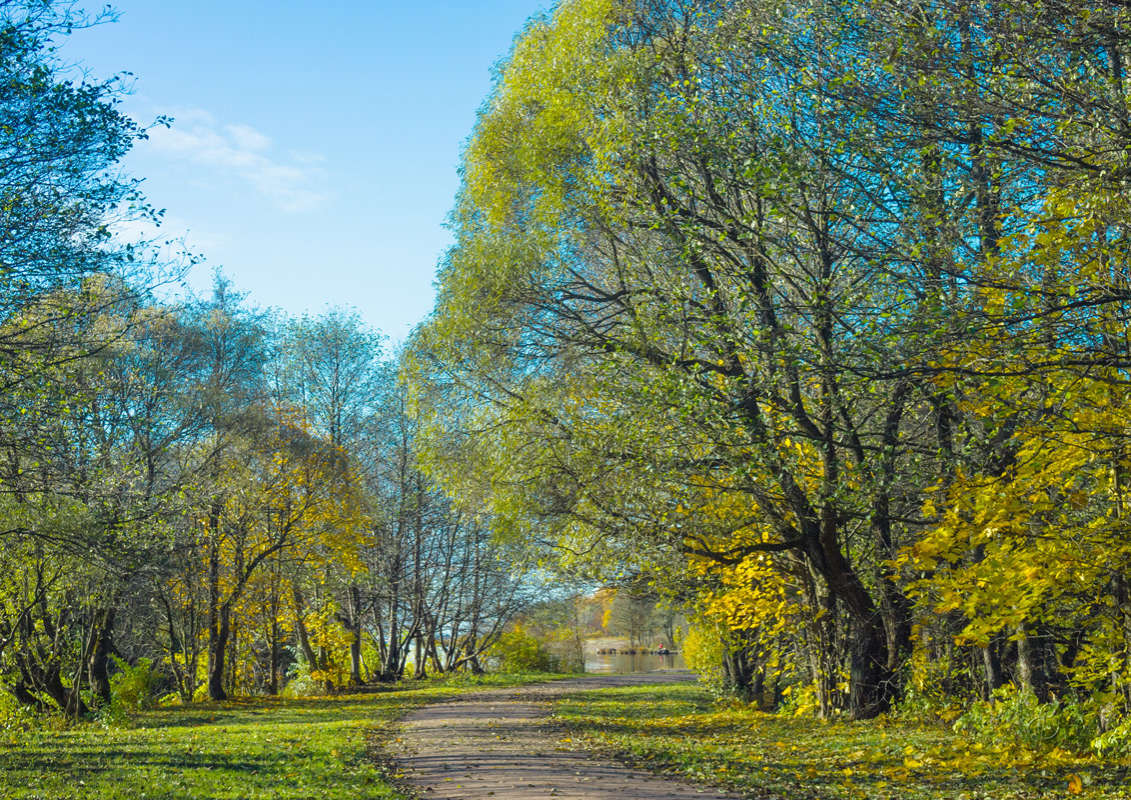 *** ����� Vitaly Konakov �� PhotoGeek.ru #������ ��� ������� #����� ��������