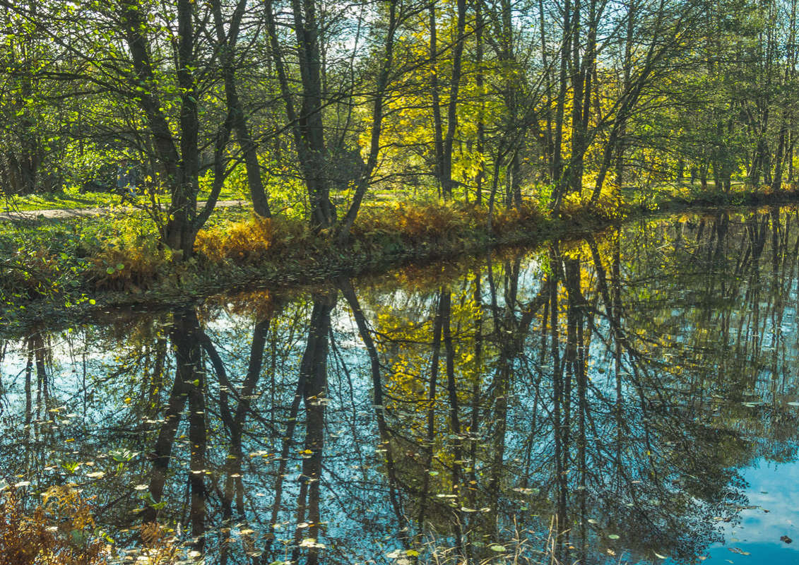 *** ����� Vitaly Konakov �� PhotoGeek.ru #������ ��� ������� #����� ��������