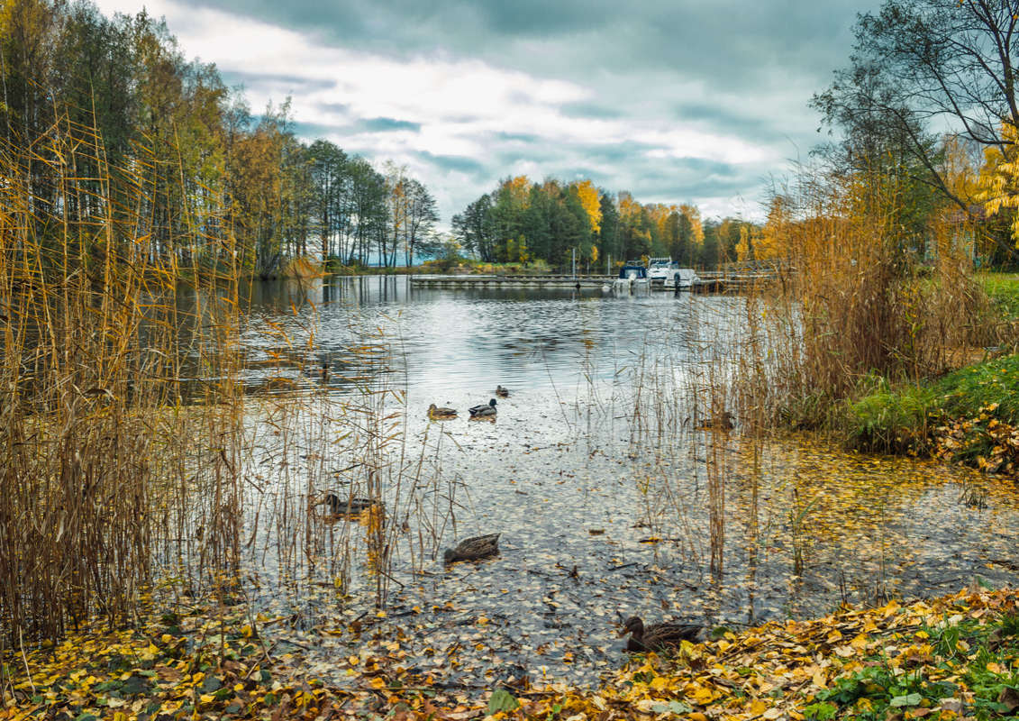 *** ����� Vitaly Konakov �� PhotoGeek.ru #������ ��� ������� #����� ��������