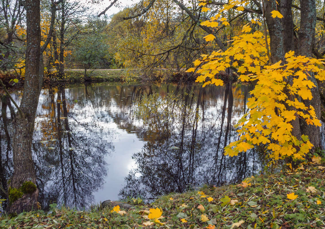 *** ����� Vitaly Konakov �� PhotoGeek.ru #������ ��� ������� #����� ��������