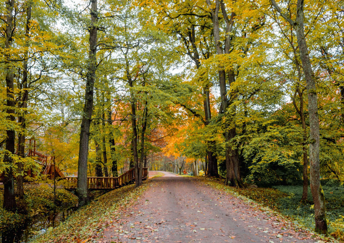 *** ����� Vitaly Konakov �� PhotoGeek.ru #������ ��� ������� #����� ��������