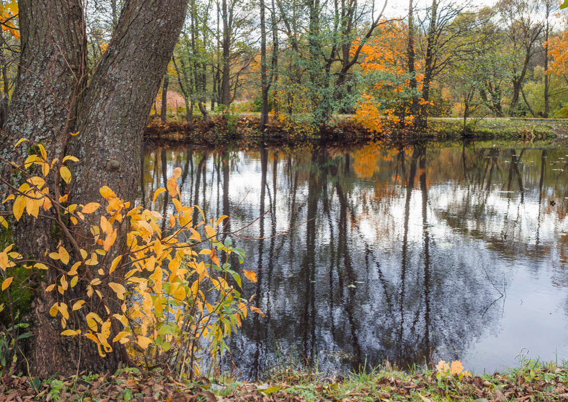 *** ����� Vitaly Konakov �� PhotoGeek.ru #������ ��� ������� #����� ��������