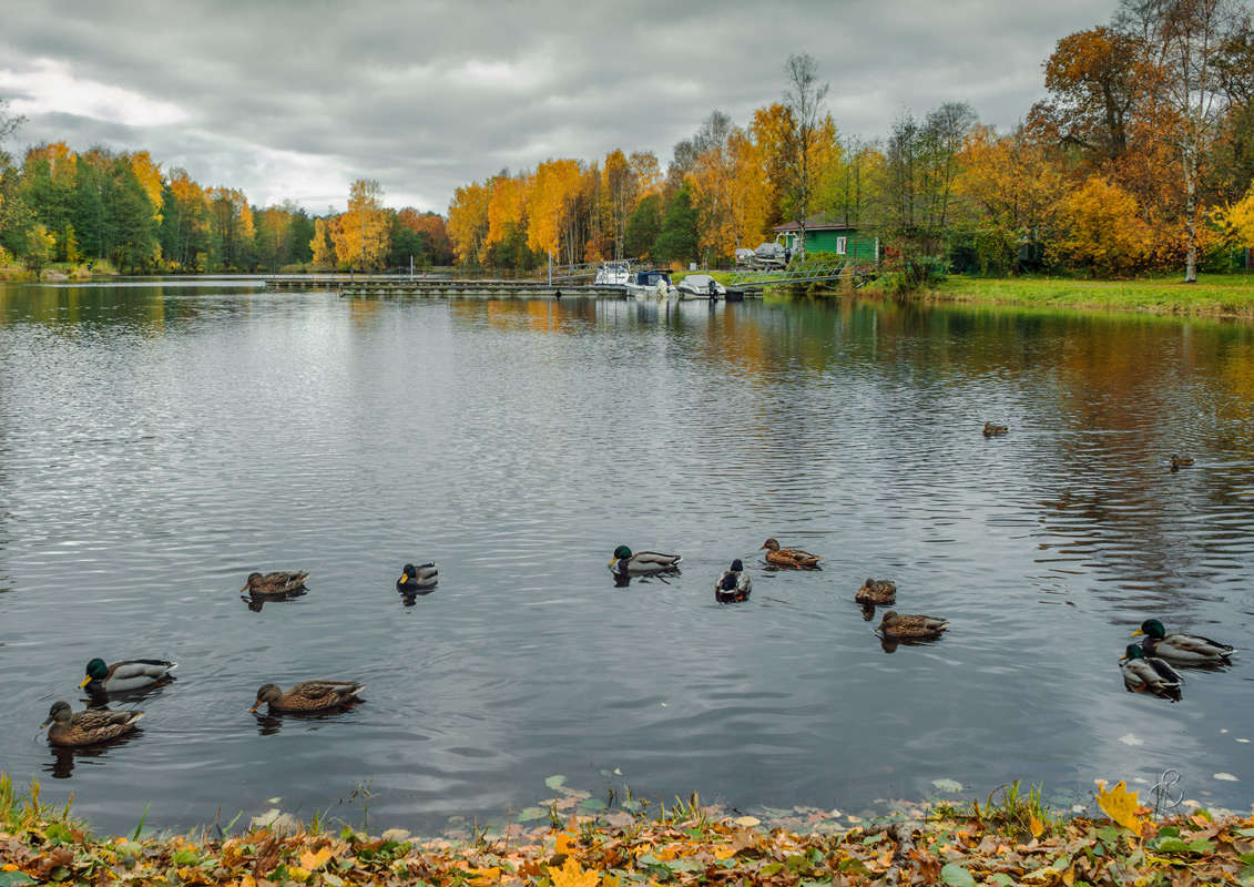 *** ����� Vitaly Konakov �� PhotoGeek.ru #������ ��� ������� #����� ��������