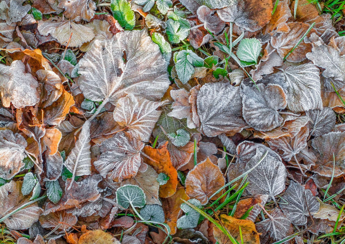 *** ����� Vitaly Konakov �� PhotoGeek.ru #��������� #���������������