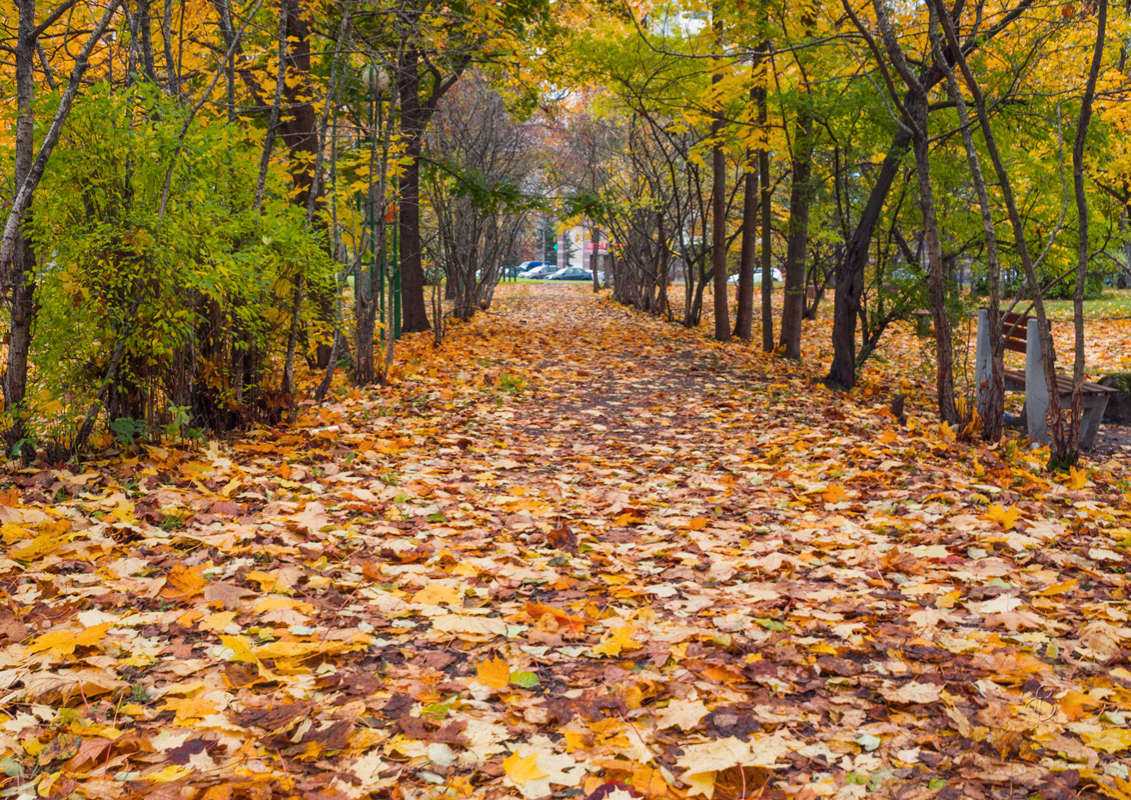 *** ����� Vitaly Konakov �� PhotoGeek.ru #������ ��� ������� #����� ��������