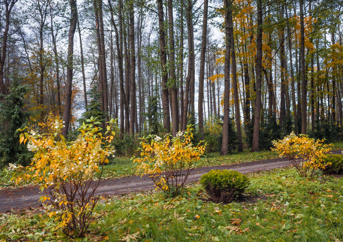 *** ����� Vitaly Konakov �� PhotoGeek.ru #������ ��� ������� #����� ��������