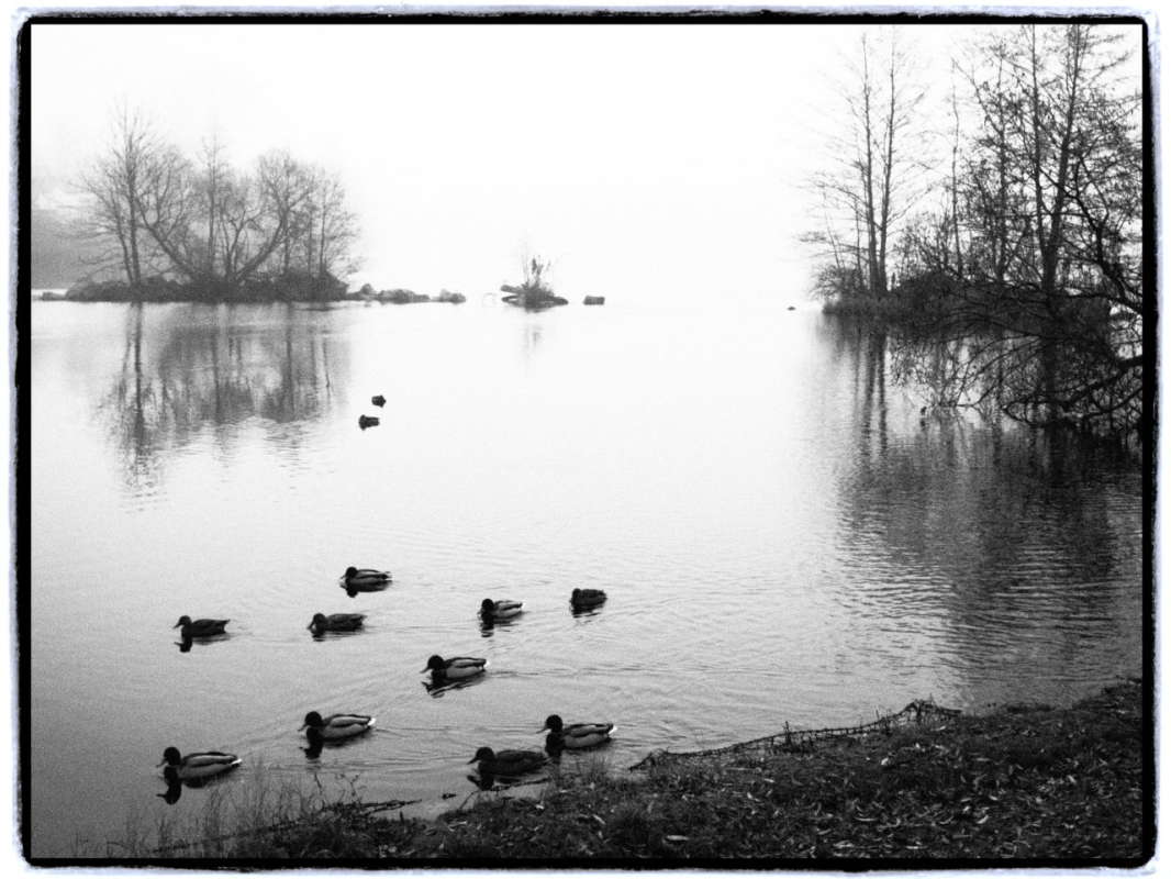 *** ����� Vitaly Konakov �� PhotoGeek.ru #������ ��� ������� #�����-�����