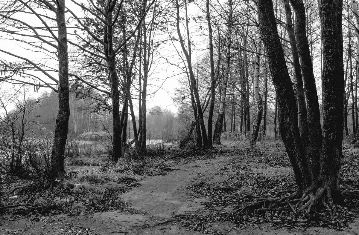 *** ����� Vitaly Konakov �� PhotoGeek.ru #������ ��� ������� #�����-�����