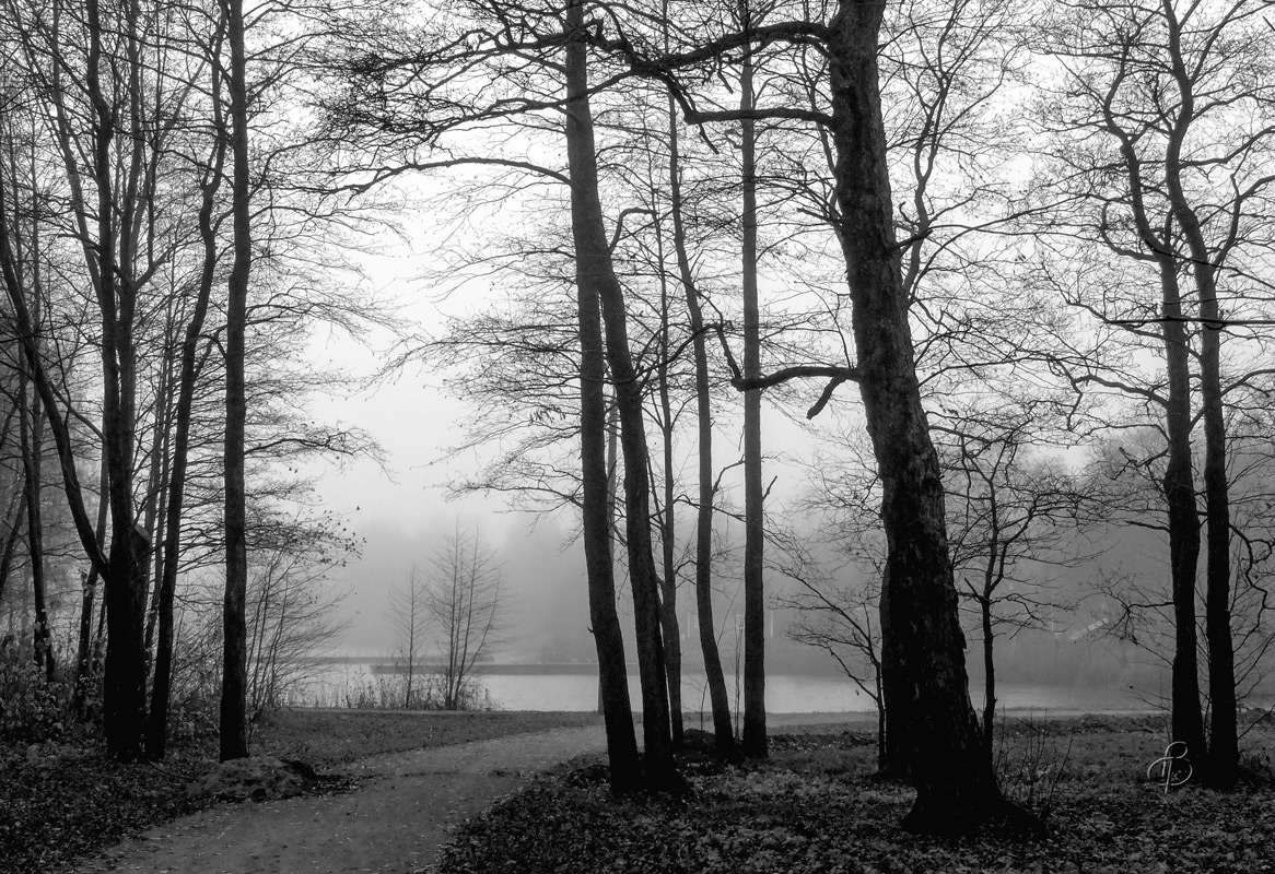 *** ����� Vitaly Konakov �� PhotoGeek.ru #������ ��� ������� #�����-�����