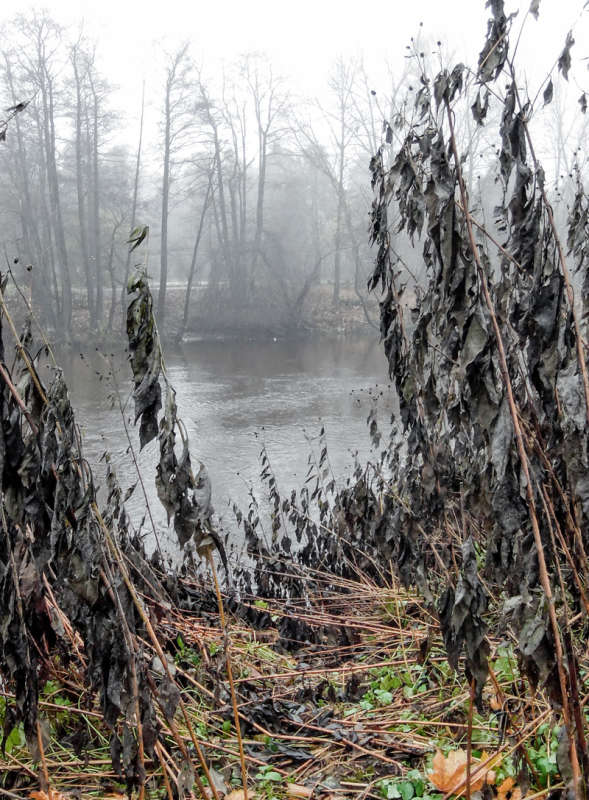 *** ����� Vitaly Konakov �� PhotoGeek.ru #������ ��� ������� #����� ��������