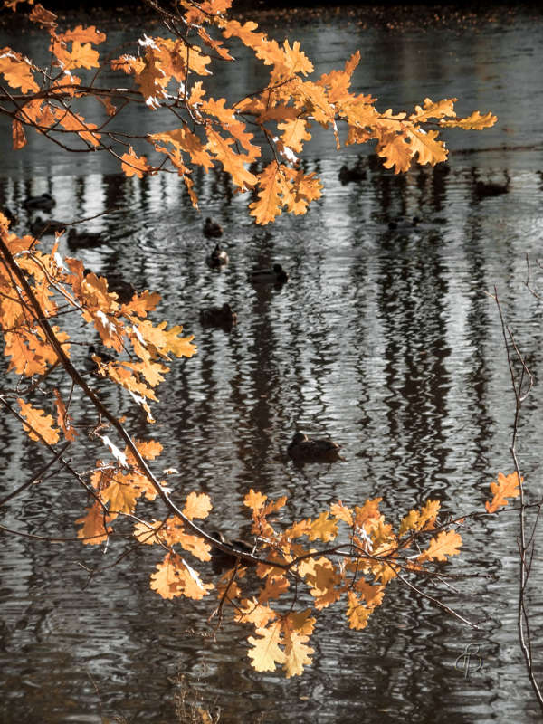 *** ����� Vitaly Konakov �� PhotoGeek.ru #������ ��� ������� #����� ��������