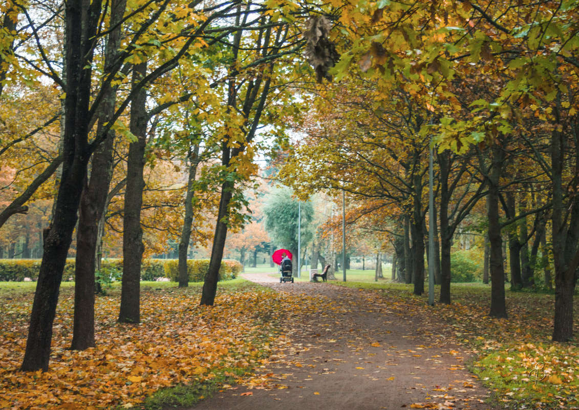*** ����� Vitaly Konakov �� PhotoGeek.ru #������ ��� ������� #����� ��������