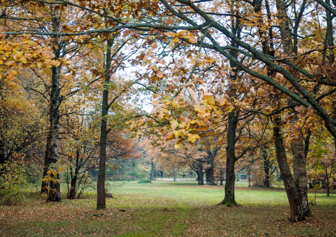 *** ����� Vitaly Konakov �� PhotoGeek.ru #������ ��� ������� #����� ��������