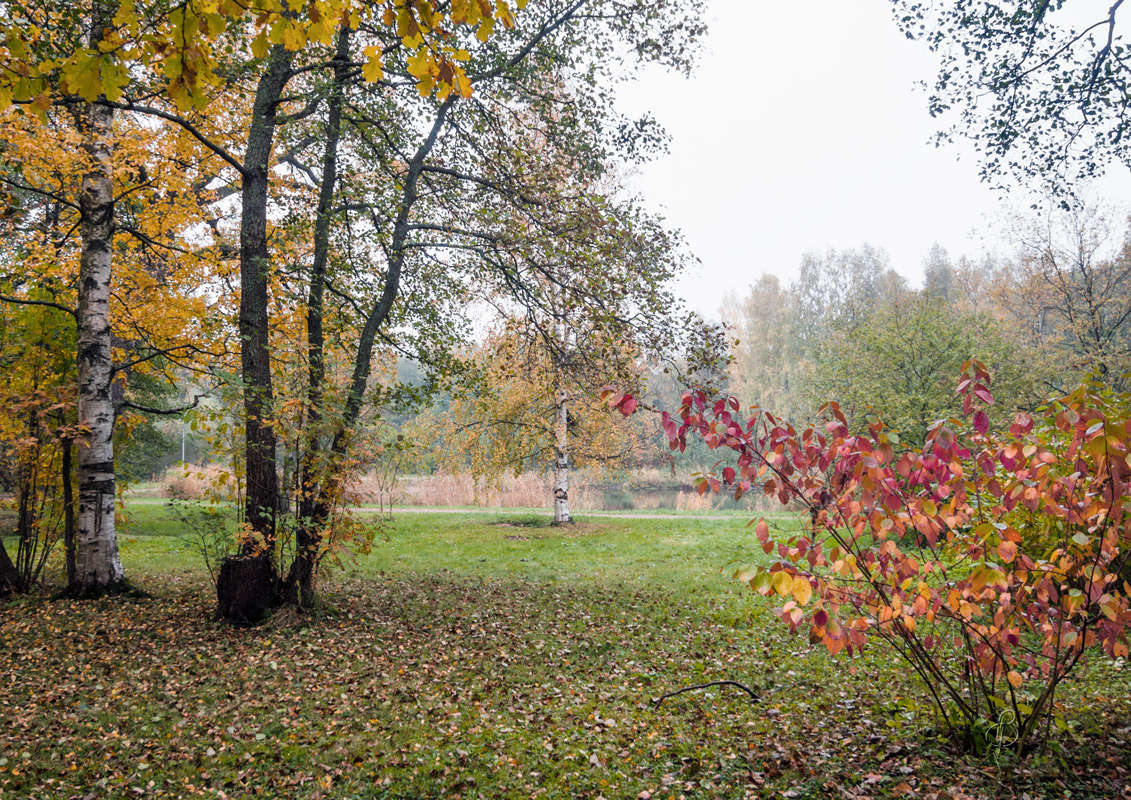 *** ����� Vitaly Konakov �� PhotoGeek.ru #������ ��� ������� #����� ��������